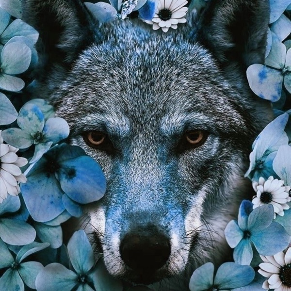 Northern Country cover artwork