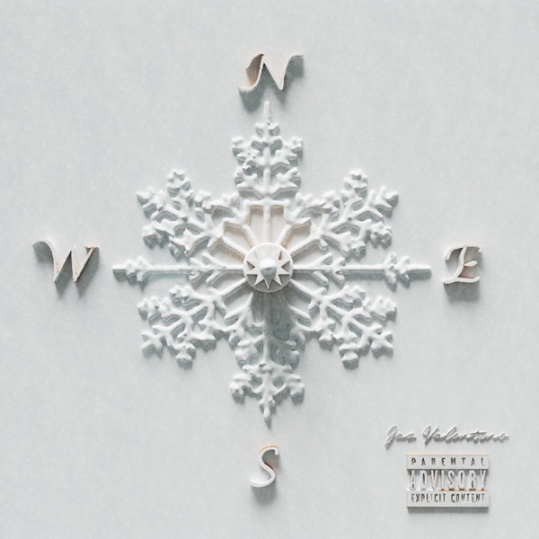 Snowflakes cover artwork